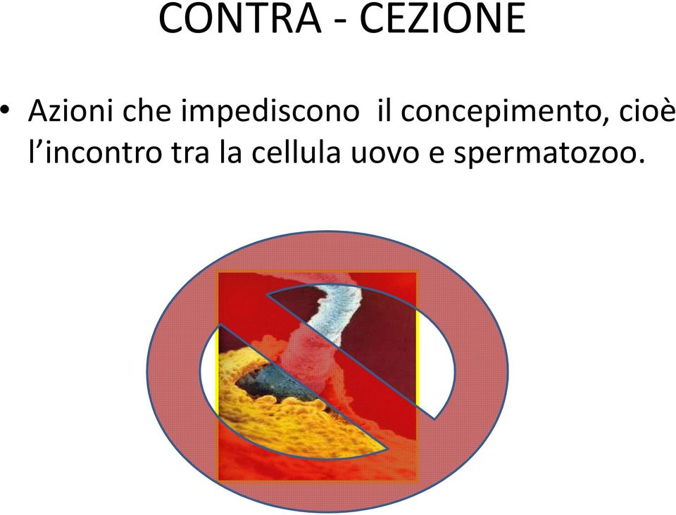 concepimento, cioè l