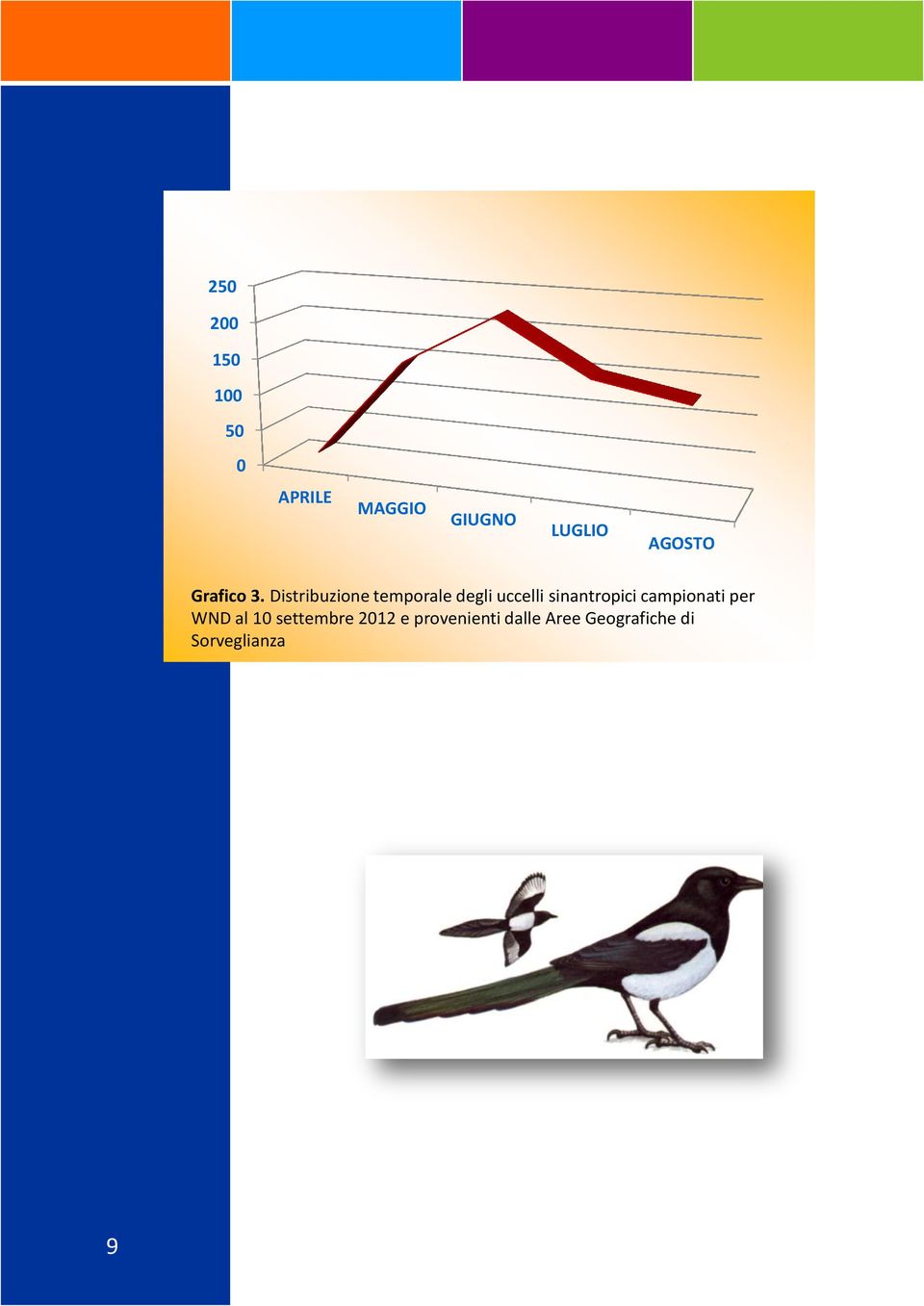 Distribuzione temporale degli uccelli sinantropici