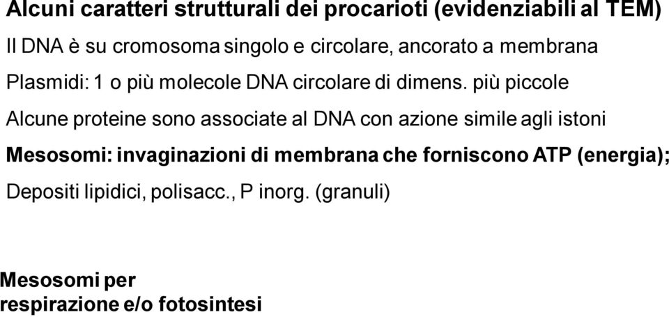 più piccole Alcune proteine sono associate al DNA con azione simile agli istoni Mesosomi: invaginazioni