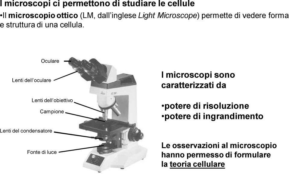 Oculare Lenti dell oculare Lenti dell obiettivo Campione I microscopi sono caratterizzati da potere di