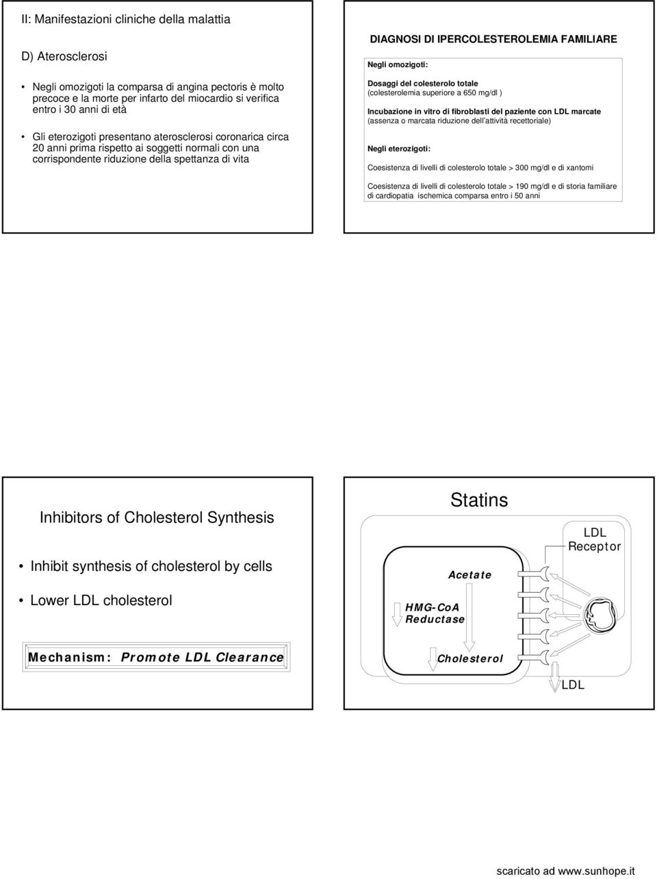 Negli omozigoti: Dosaggi del colesterolo totale (colesterolemia superiore a 650 mg/dl ) Incubazione in vitro di fibroblasti del paziente con marcate (assenza o marcata riduzione dell attività