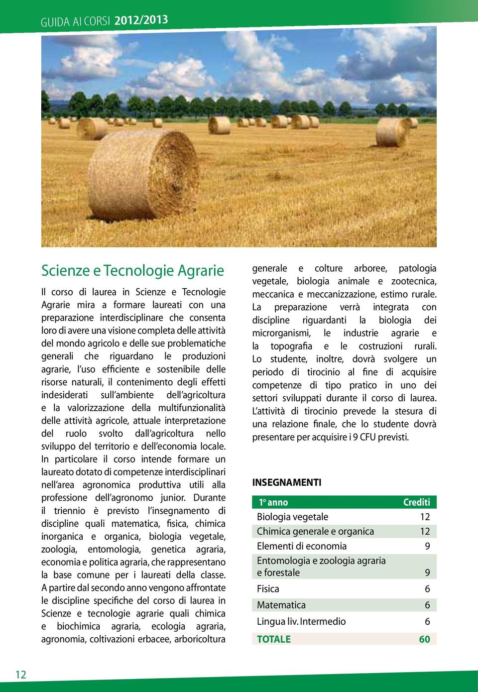 degli effetti indesiderati sull ambiente dell agricoltura e la valorizzazione della multifunzionalità delle attività agricole, attuale interpretazione del ruolo svolto dall agricoltura nello sviluppo