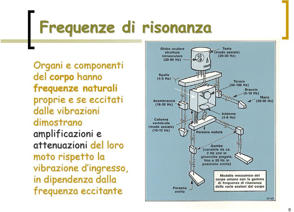 dimostrano amplificazioni e attenuazioni del loro moto