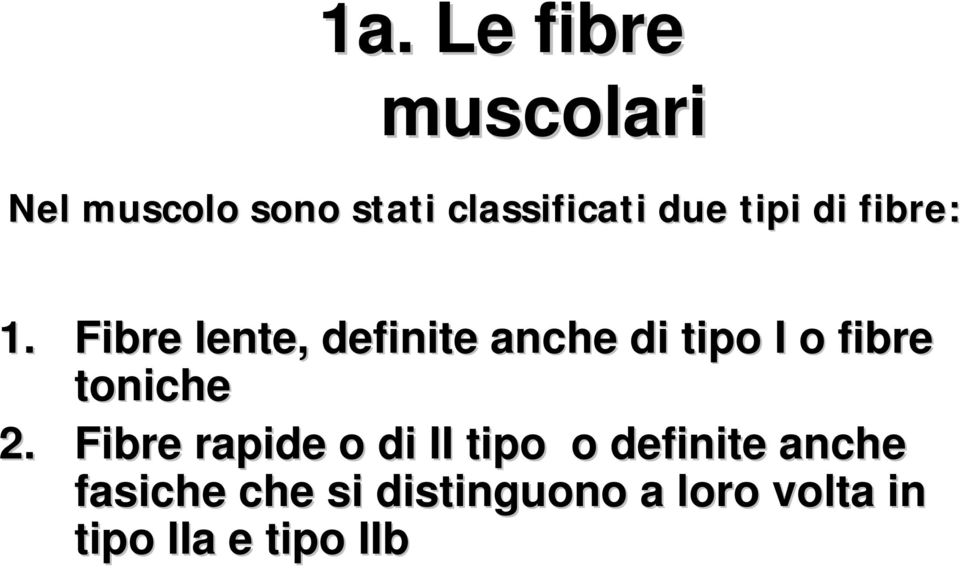 Fibre lente, definite anche di tipo I o fibre toniche 2.