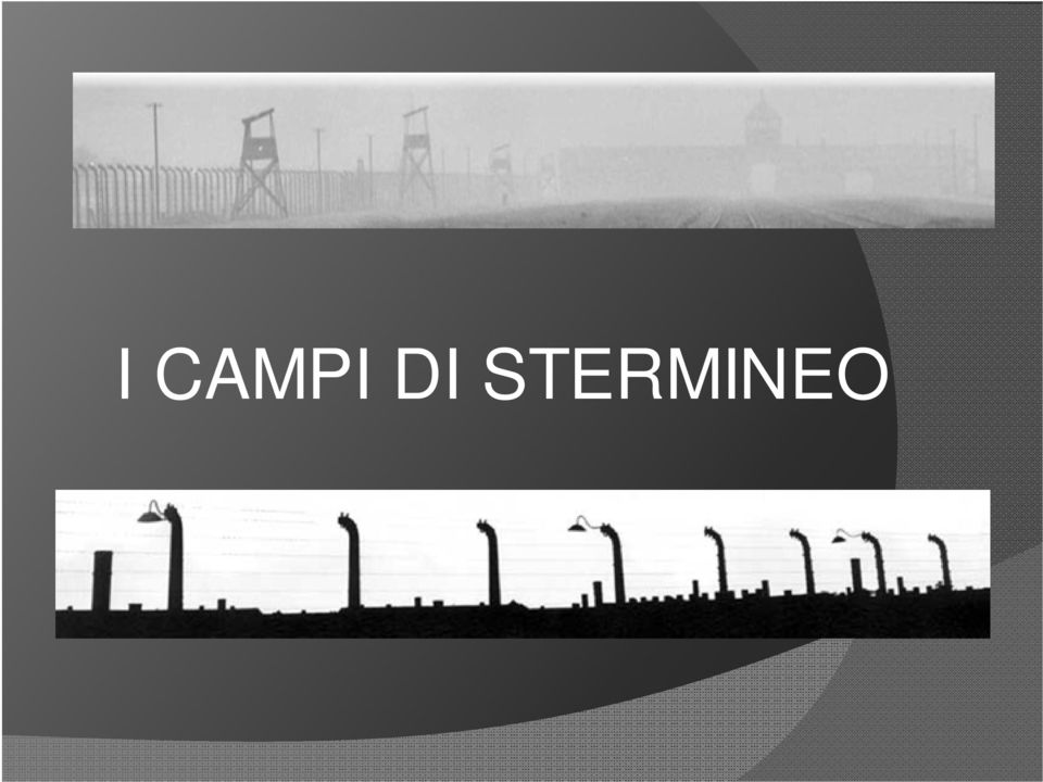 STERMINEO