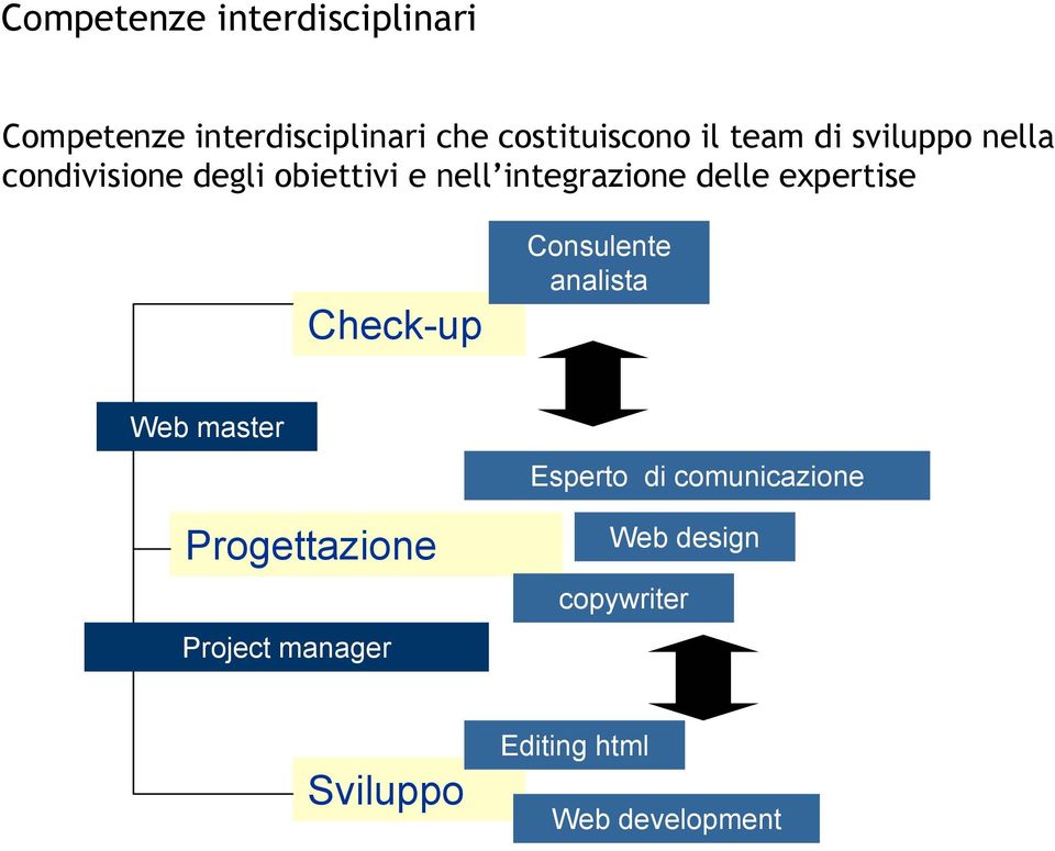 expertise Check-up Consulente analista Web master Progettazione Project manager