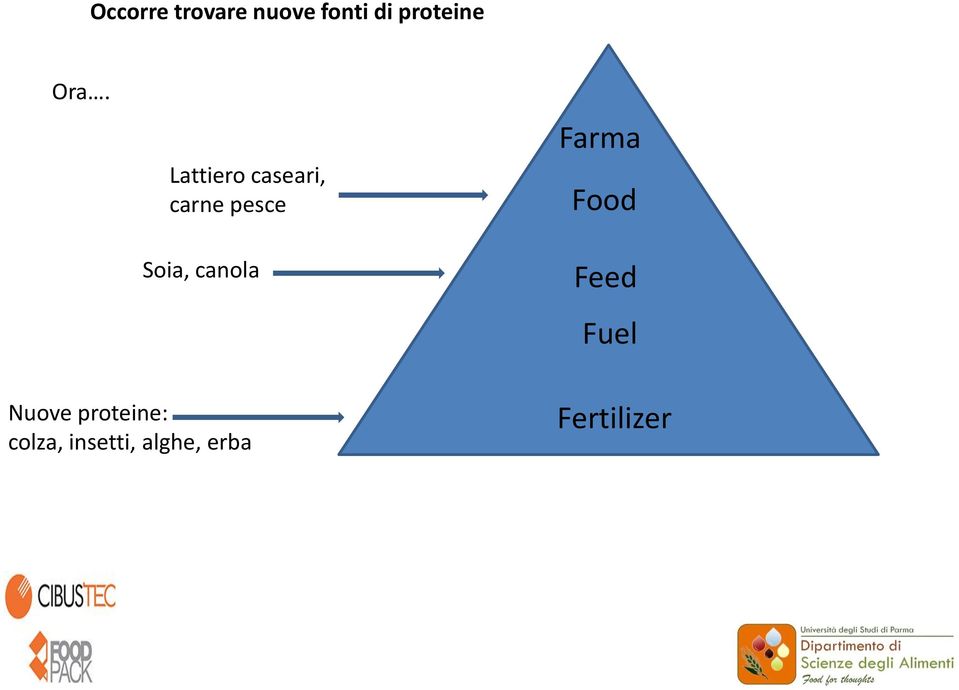 canola Farma Food Feed Fuel Nuove