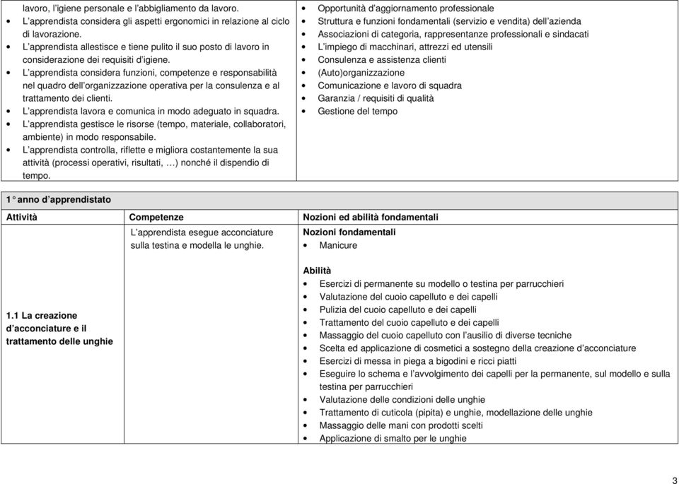 L apprendista considera funzioni, competenze e responsabilità nel quadro dell organizzazione operativa per la consulenza e al trattamento dei clienti.