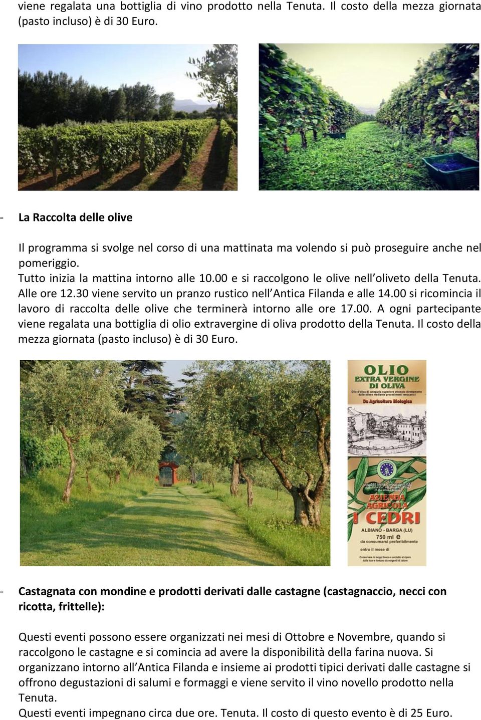 00 e si raccolgono le olive nell oliveto della Tenuta. Alle ore 12.30 viene servito un pranzo rustico nell Antica Filanda e alle 14.