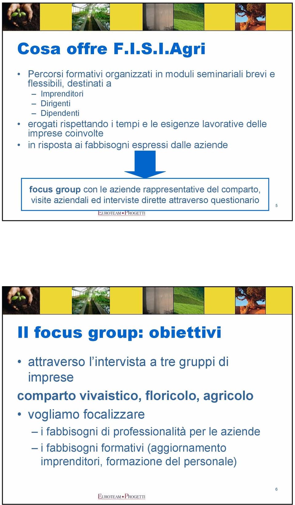 esigenze lavorative delle imprese coinvolte in risposta ai fabbisogni espressi dalle aziende focus group con le aziende rappresentative del comparto, visite