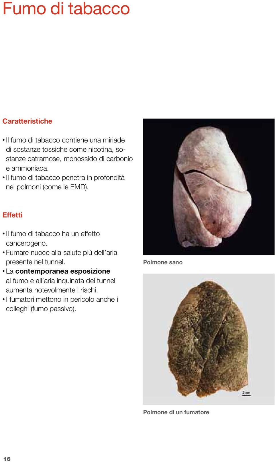 Effetti Il fumo di tabacco ha un effetto cancerogeno. Fumare nuoce alla salute più dell aria presente nel tunnel.