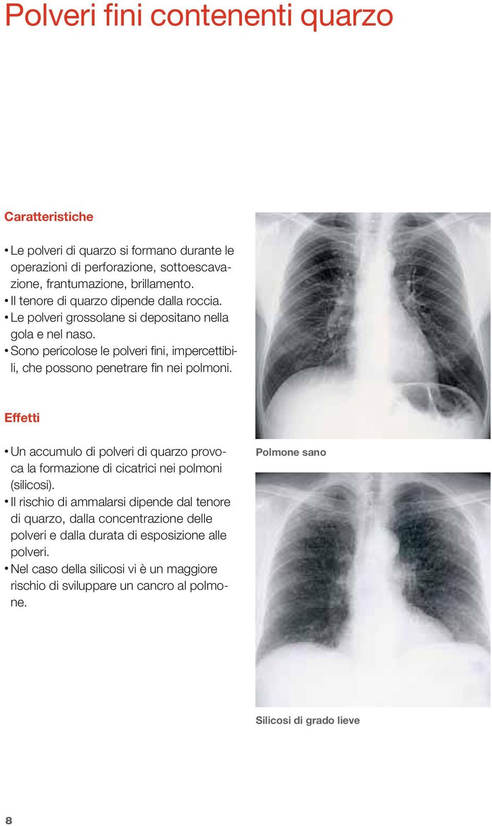 Sono pericolose le polveri fini, impercettibili, che possono penetrare fin nei polmoni.