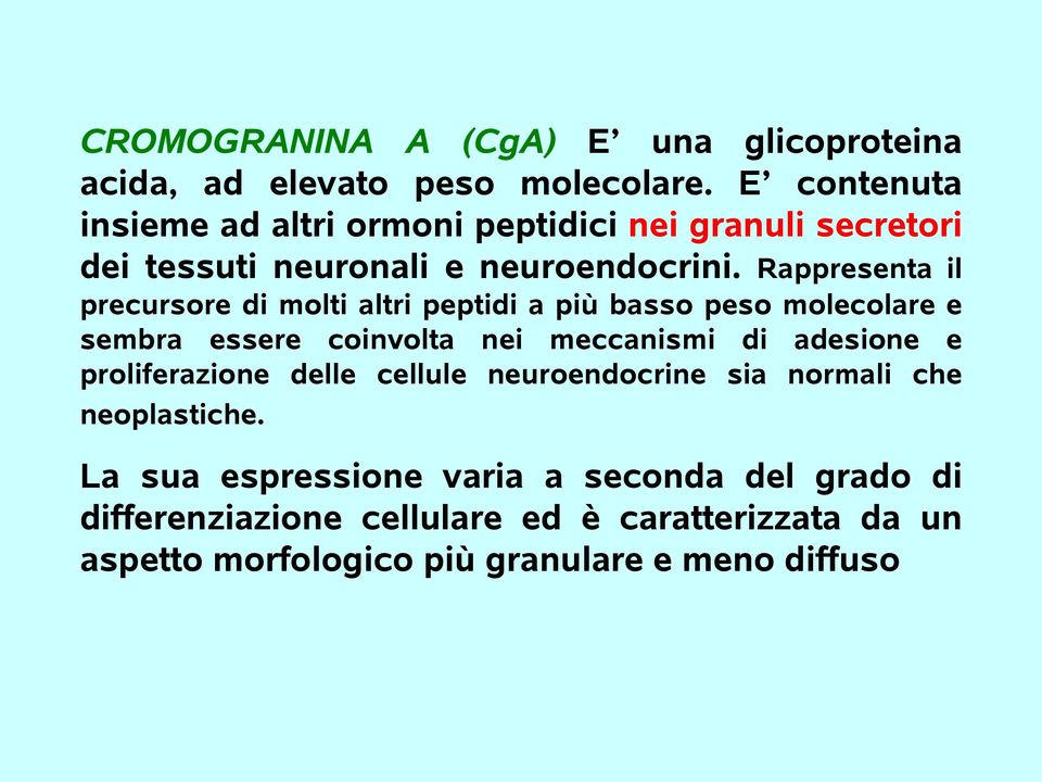 Rappresenta il precursore di molti altri peptidi a più basso peso molecolare e sembra essere coinvolta nei meccanismi di adesione e