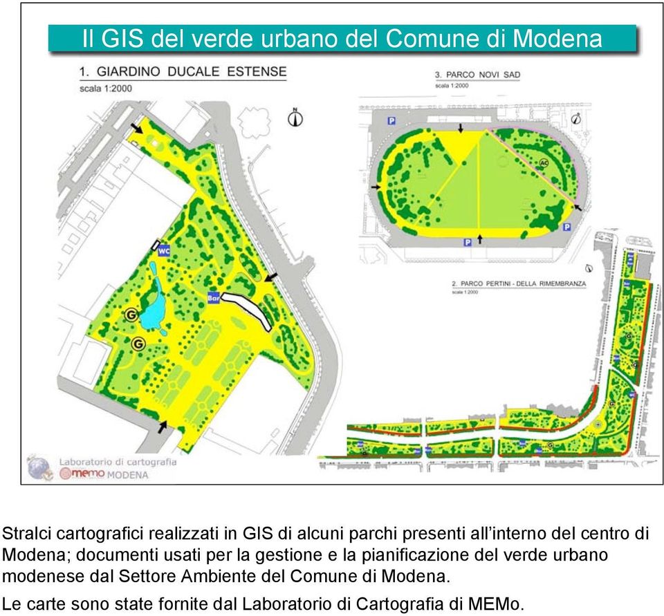 per la gestione e la pianificazione del verde urbano modenese dal Settore Ambiente