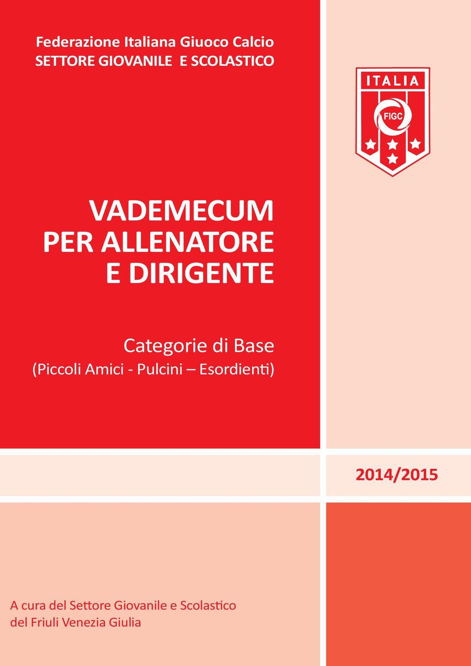 di Base (Piccoli Amici - Pulcini Esordienti) 2014/2015 A