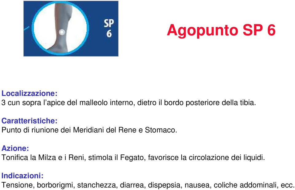 Azione: Tonifica la Milza e i Reni, stimola il Fegato, favorisce la circolazione dei liquidi.