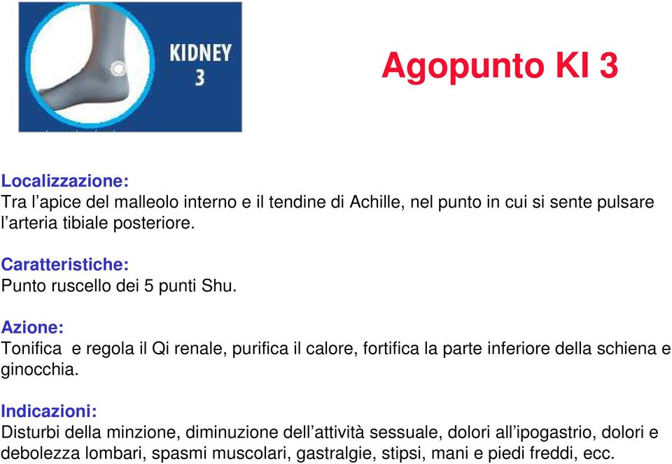 Azione: Tonifica e regola il Qi renale, purifica il calore, fortifica la parte inferiore della schiena e ginocchia.