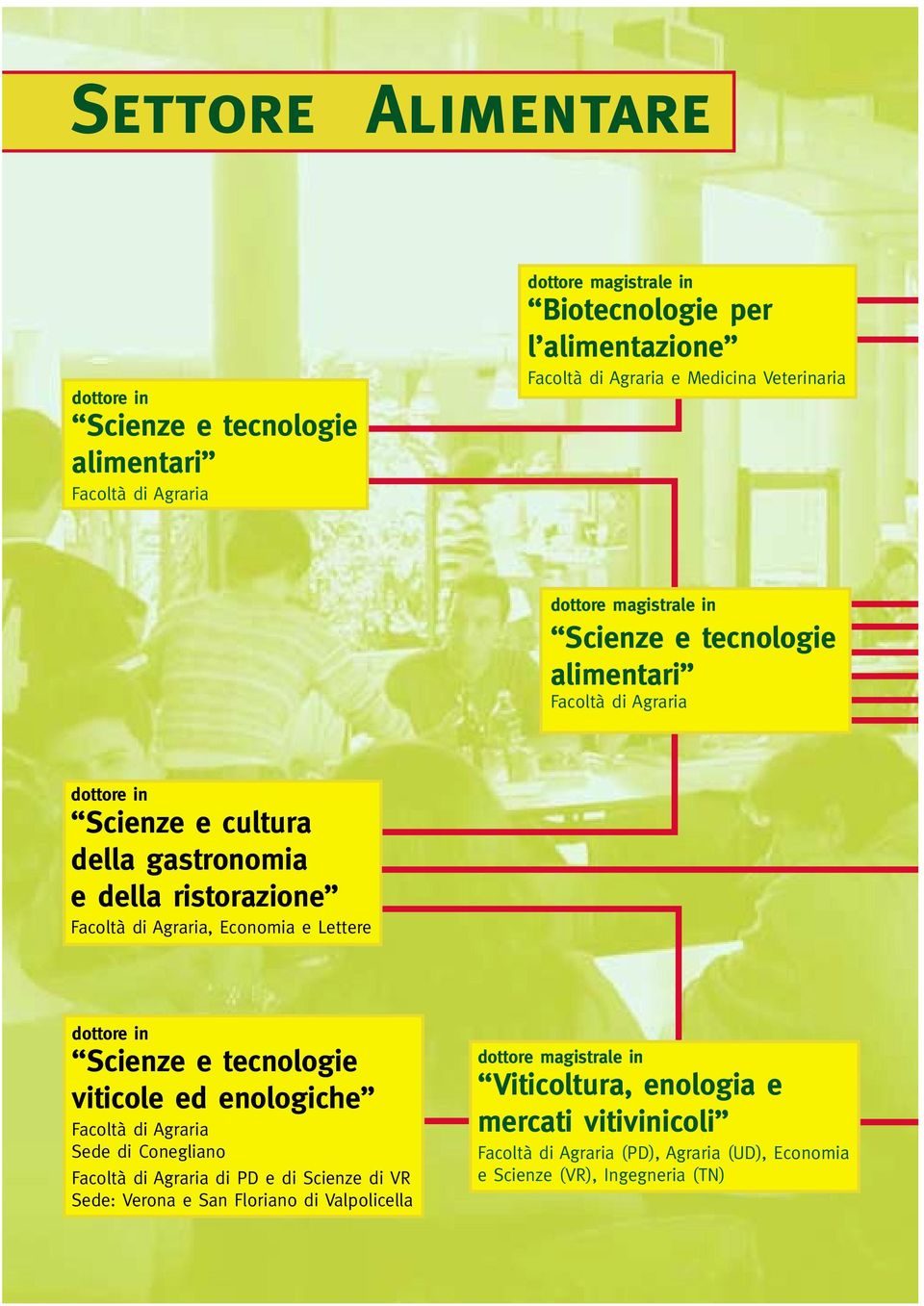 Economia e Lettere dottore in Scienze e tecnologie viticole ed enologiche Facoltà di Agraria Sede di Conegliano Facoltà di Agraria di PD e di Scienze di VR Sede: Verona e San