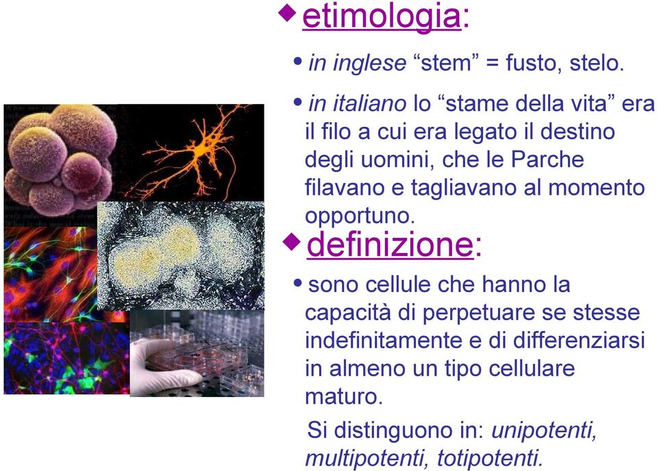 Parche filavano e tagliavano al momento opportuno.