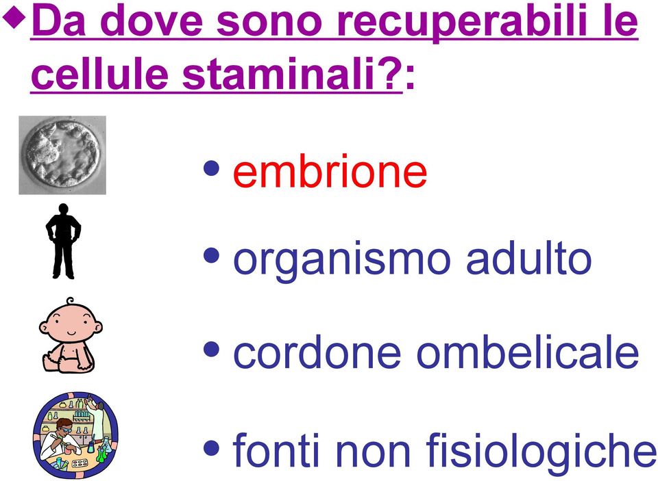 : embrione organismo adulto