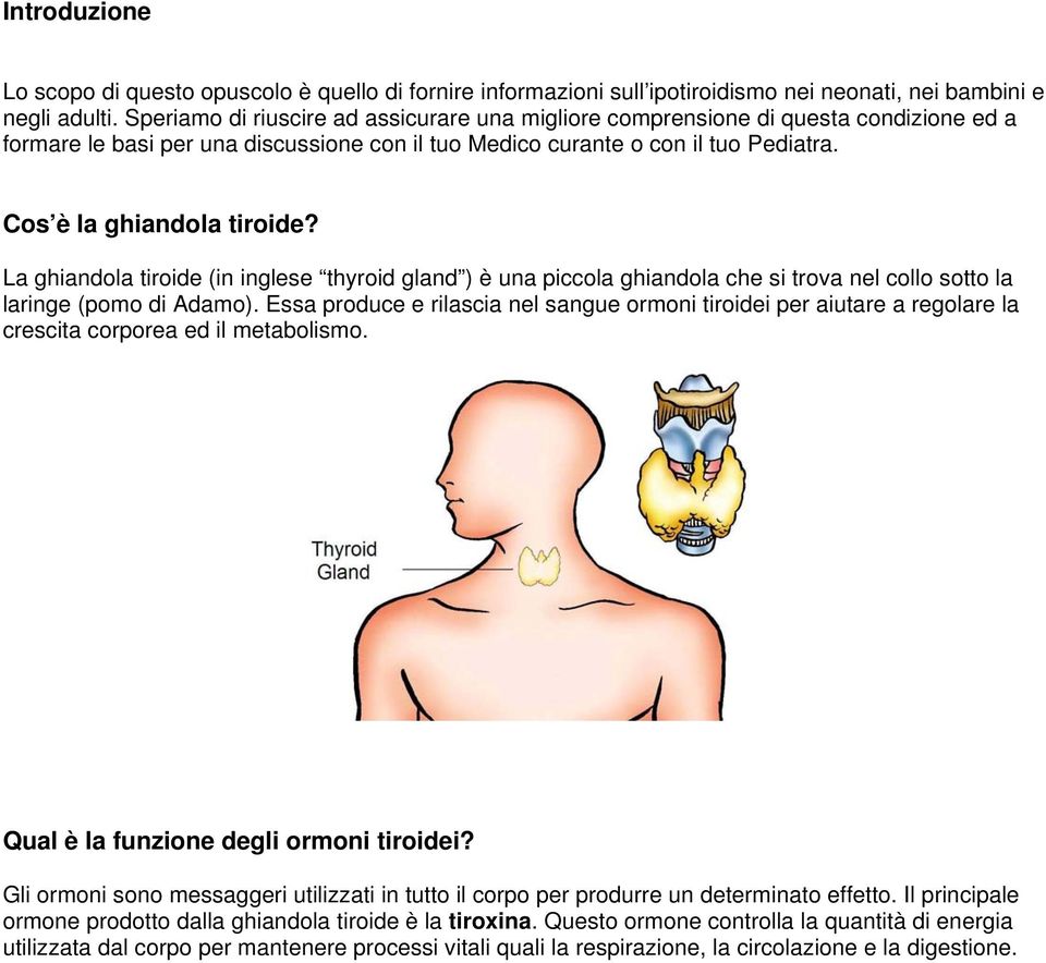 La ghiandola tiroide (in inglese thyroid gland ) è una piccola ghiandola che si trova nel collo sotto la laringe (pomo di Adamo).