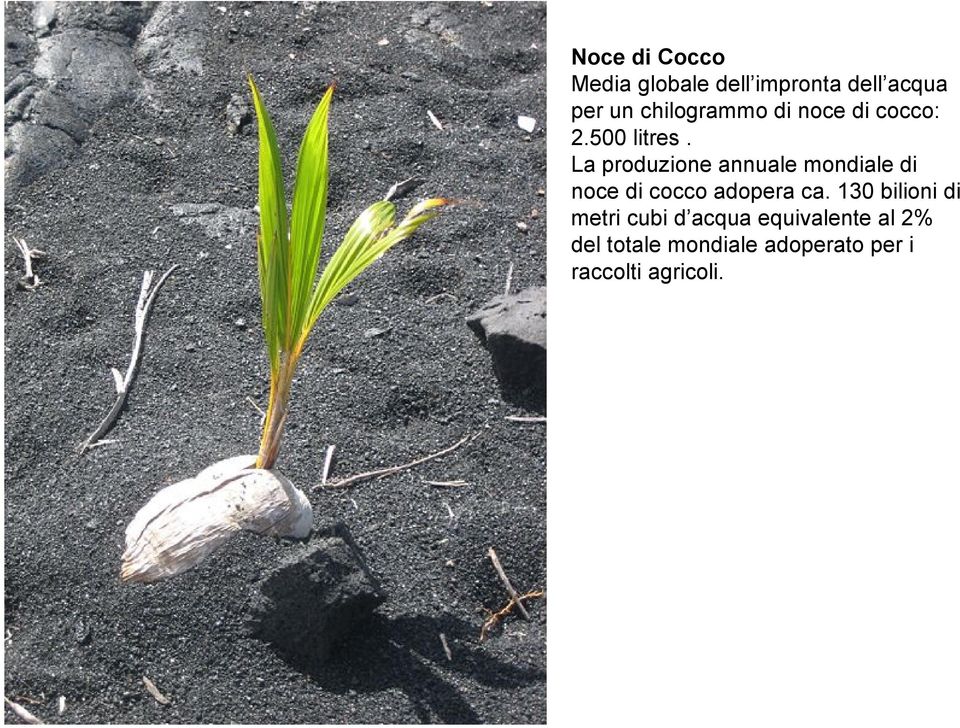 La produzione annuale mondiale di noce di cocco adopera ca.