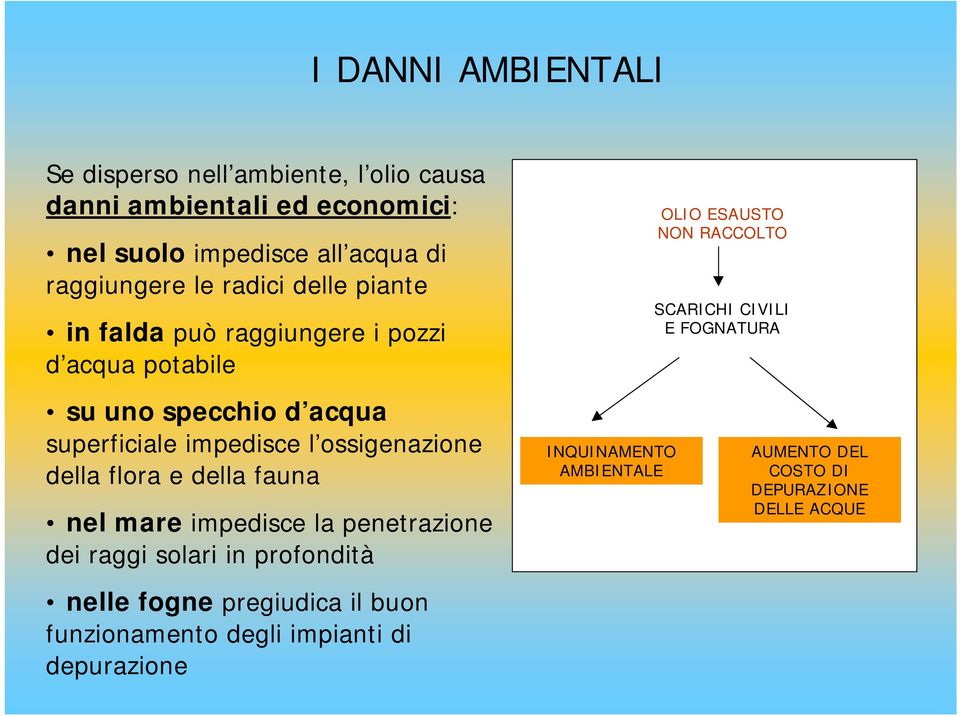 flora e della fauna nel mare impedisce la penetrazione dei raggi solari in profondità nelle fogne pregiudica il buon funzionamento degli