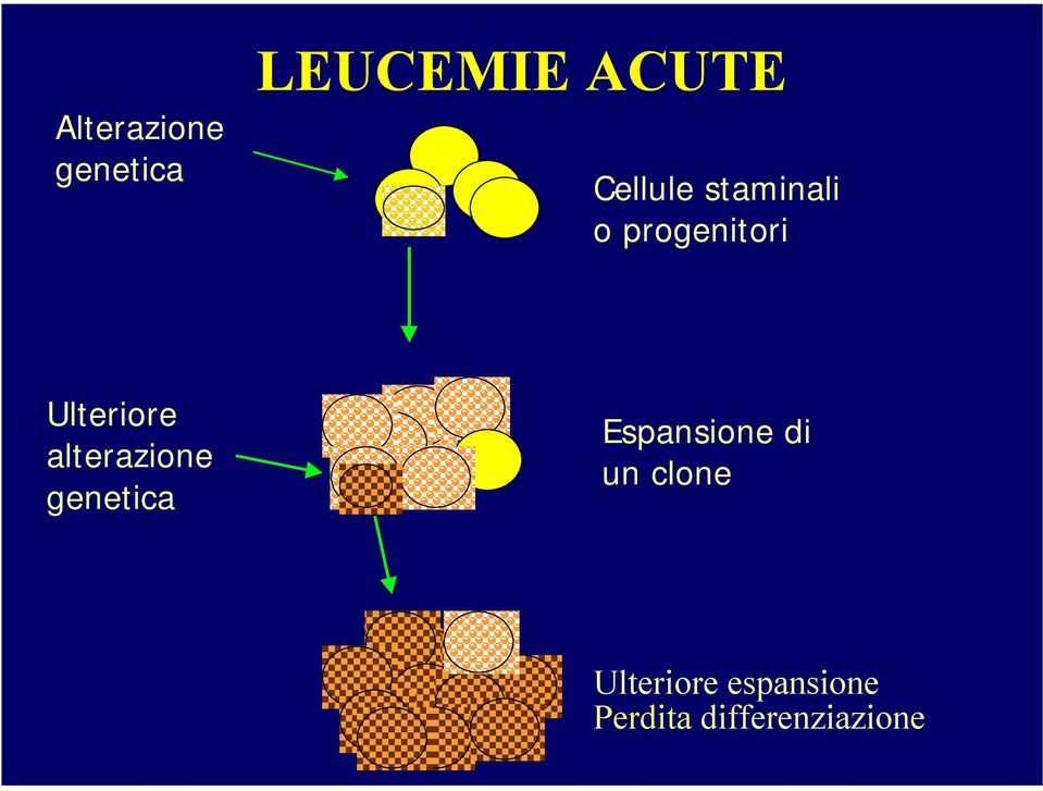 alterazione genetica Espansione di un