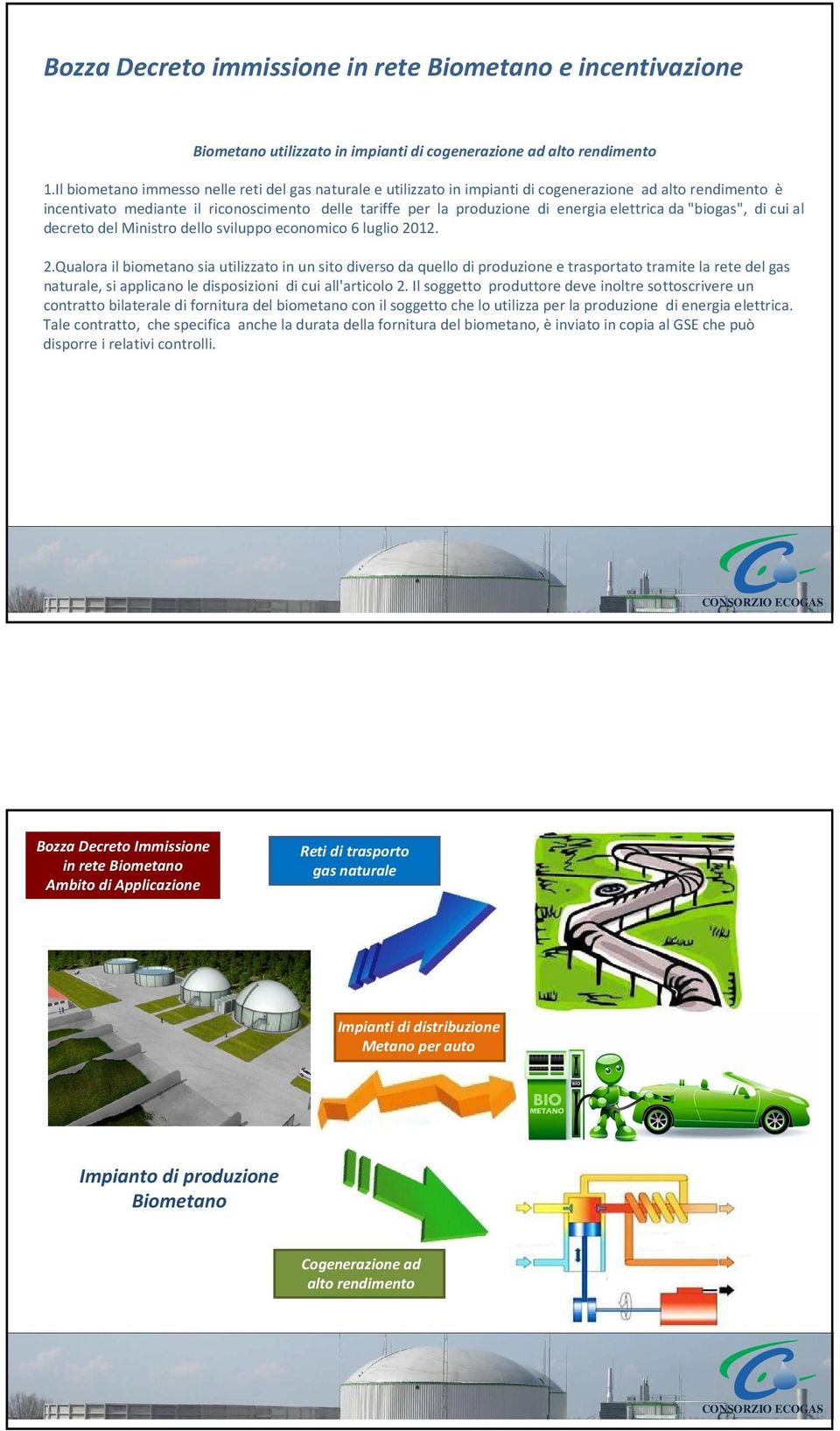 elettrica da "biogas", di cui al decreto del Ministro dello sviluppo economico 6 luglio 20