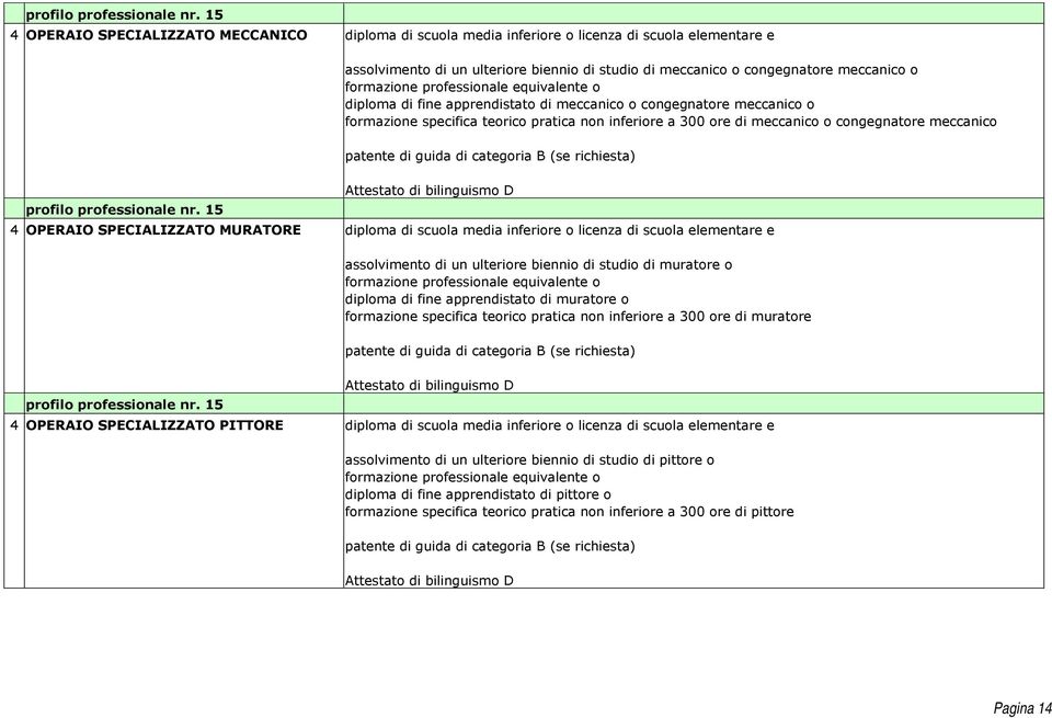 di scuola media inferiore o licenza di scuola elementare e assolvimento di un ulteriore biennio di studio di muratore o diploma di fine apprendistato di muratore o formazione specifica teorico