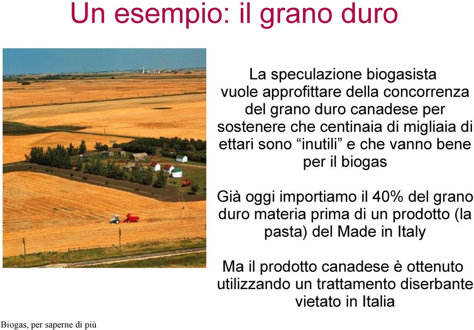 il biogas Già oggi importiamo il 40% del grano duro materia prima di un prodotto (la pasta) del