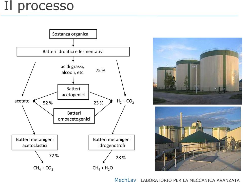 75 % acetato 52 % Batteri acetogenici 23 % H 2 + CO 2 Batteri