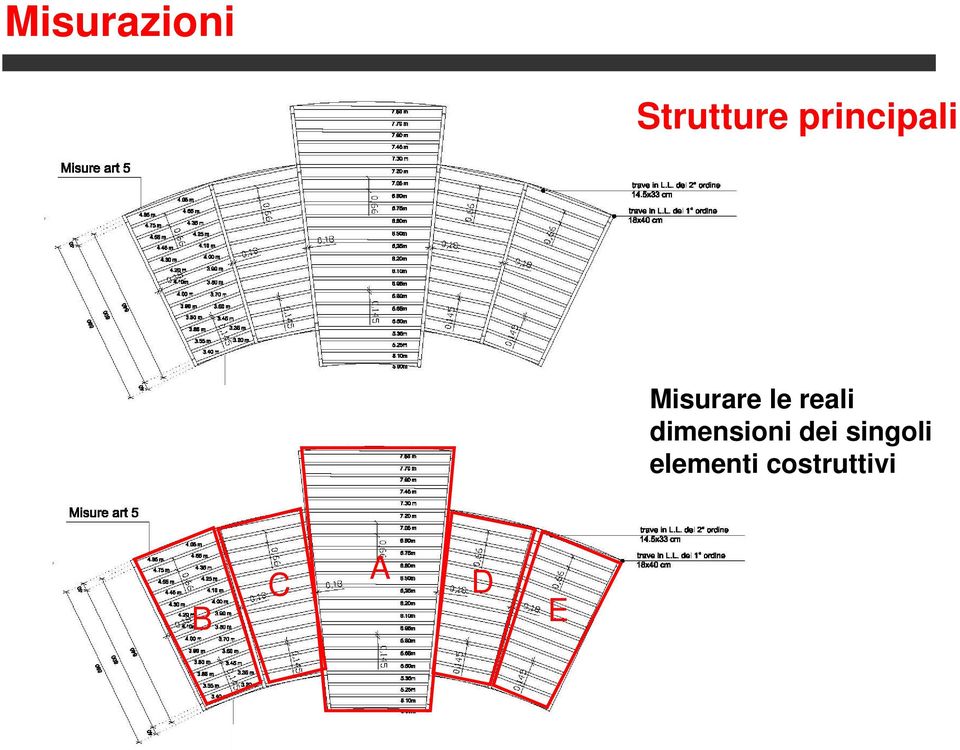 reali dimensioni dei