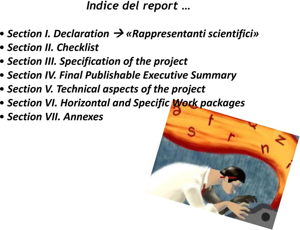 Checklist Section III. Specification of the project Section IV.