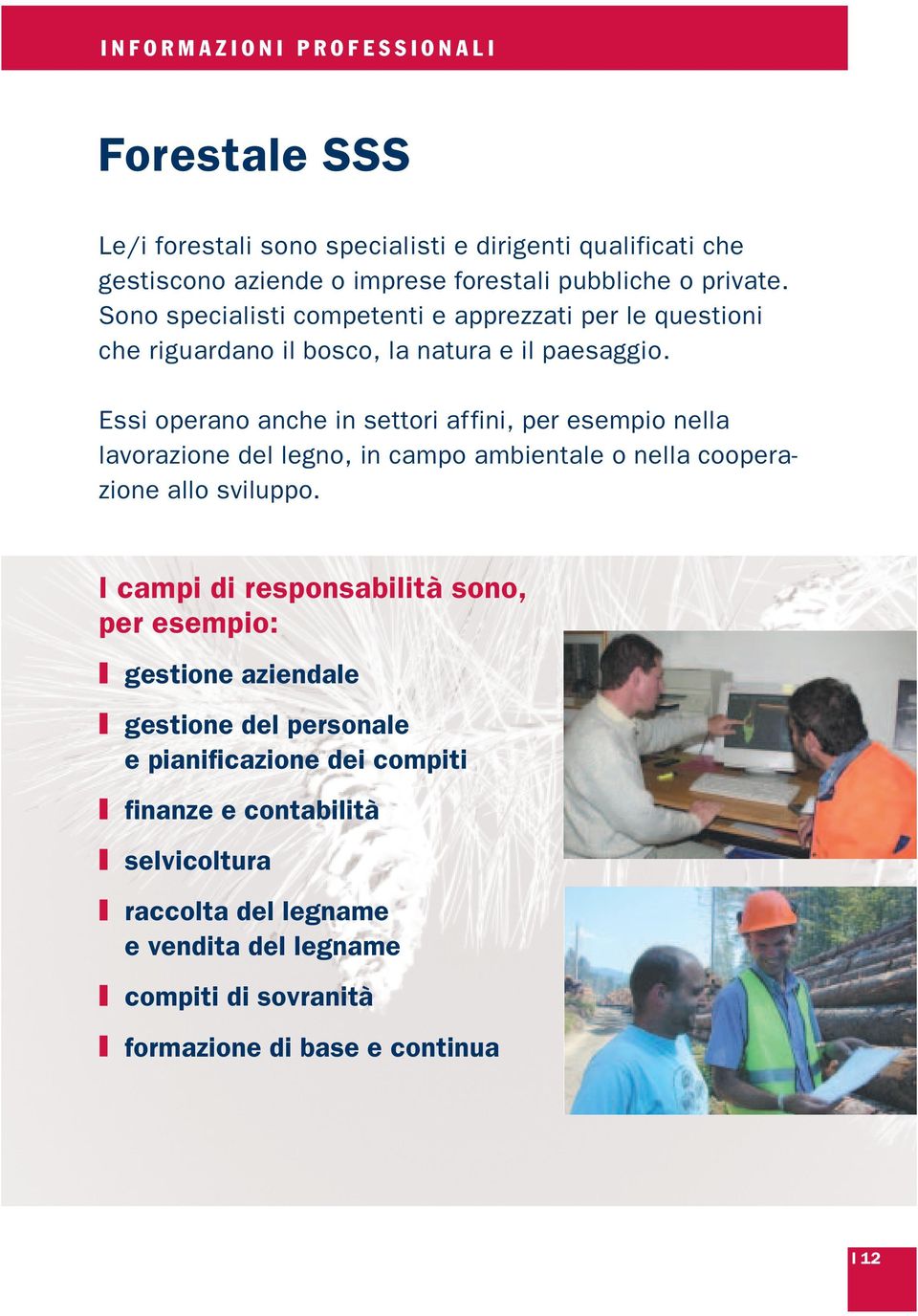 Essi operano anche in settori affini, per esempio nella lavorazione del legno, in campo ambientale o nella cooperazione allo sviluppo.