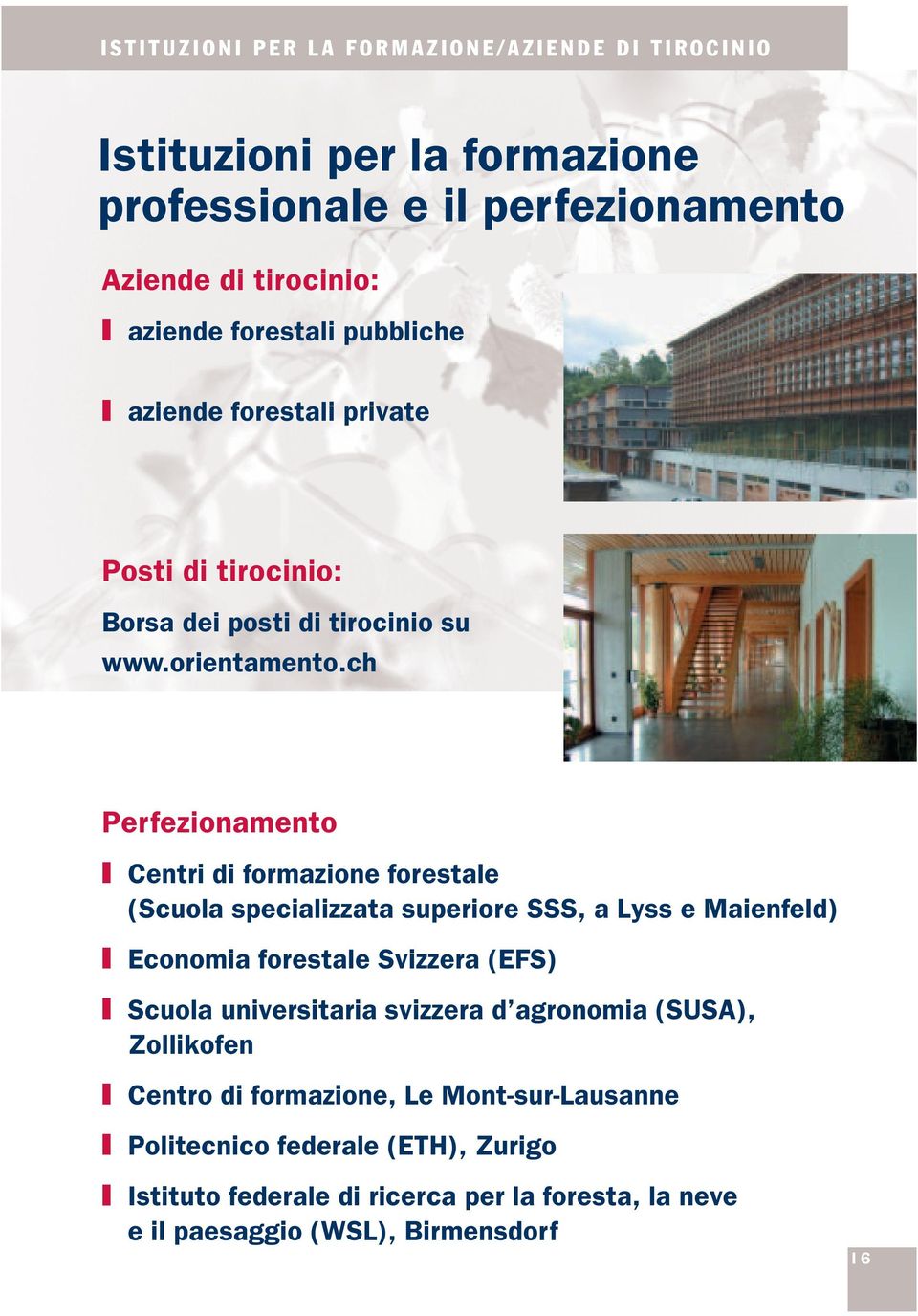 ch Perfezionamento Centri di formazione forestale (Scuola specializzata superiore SSS, a Lyss e Maienfeld) Economia forestale Svizzera (EFS) Scuola