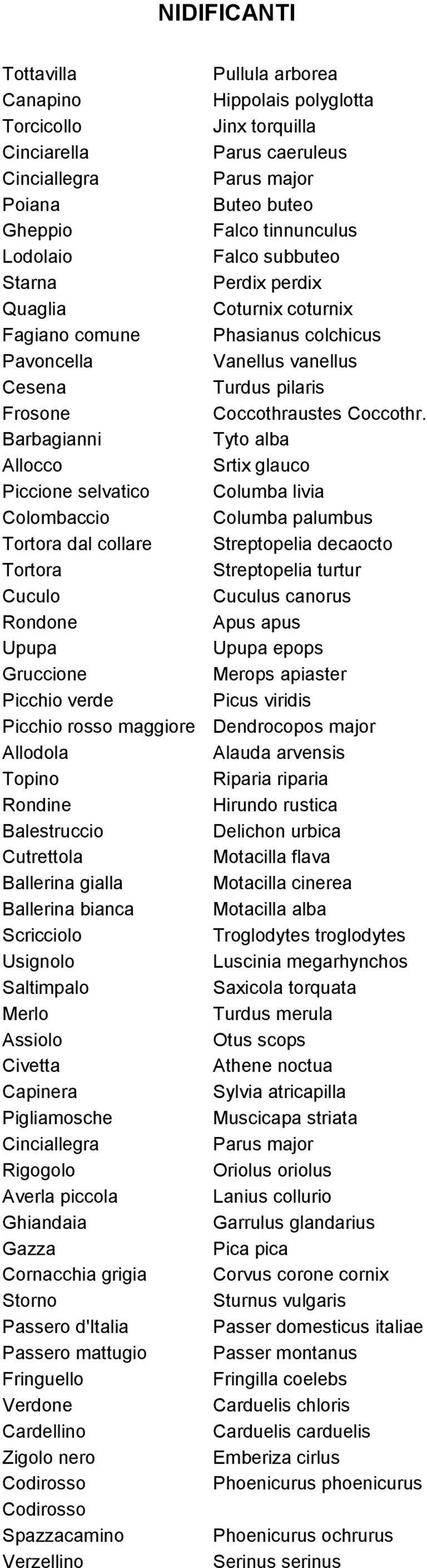 Saltimpalo Merlo Assiolo Civetta Capinera Pigliamosche Cinciallegra Rigogolo Averla piccola Ghiandaia Gazza Cornacchia grigia Storno Passero d'italia Passero mattugio Fringuello Verdone Cardellino