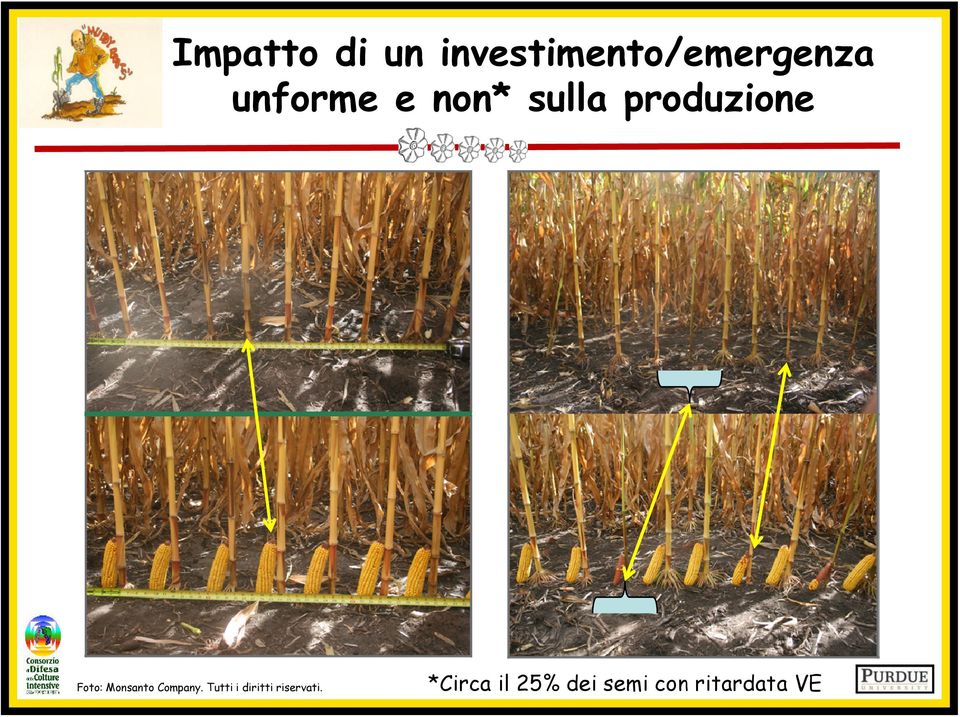 Monsanto Company.