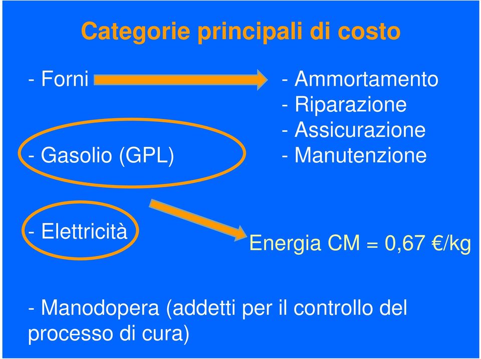 Manutenzione - Elettricità Energia CM = 0,67 /kg -