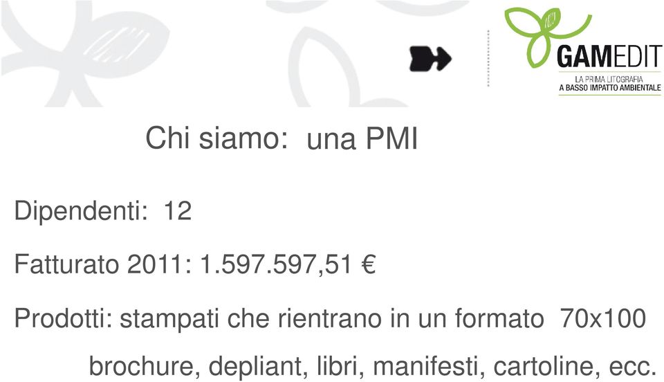 597,51 Prodotti: stampati che rientrano in