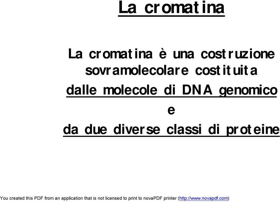 costituita dalle molecole di DNA