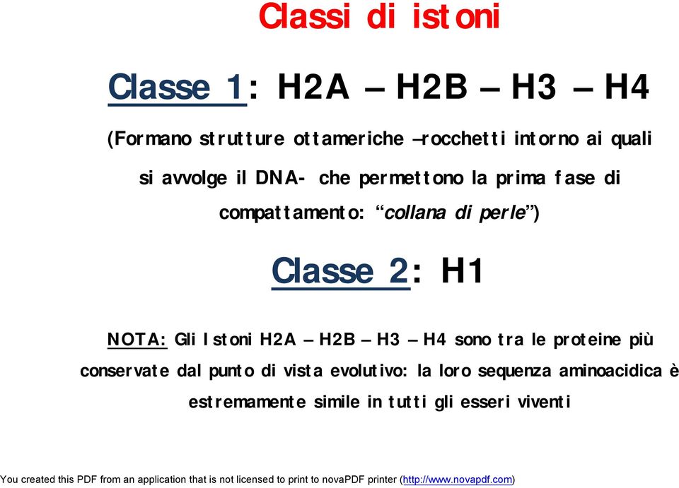 Classe 2: H1 NOTA: Gli Istoni H2A H2B H3 H4 sono tra le proteine più conservate dal punto di