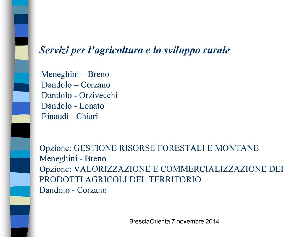 GESTIONE RISORSE FORESTALI E MONTANE Meneghini - Breno Opzione: