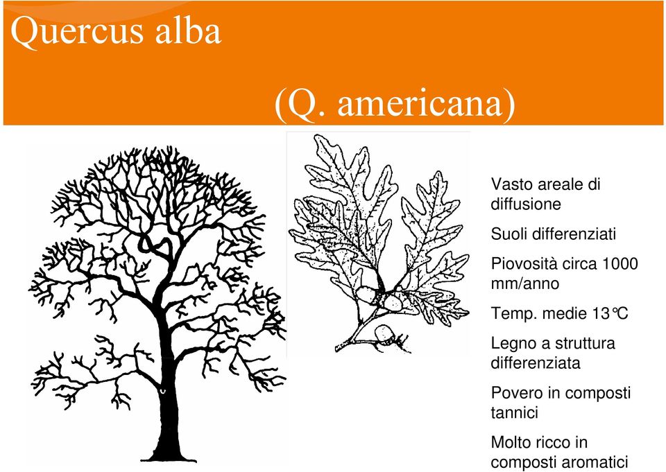 differenziati Piovosità circa 1000 mm/anno Temp.