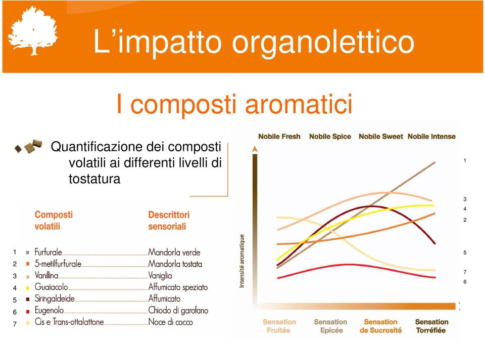 Quantificazione dei composti volatili ai