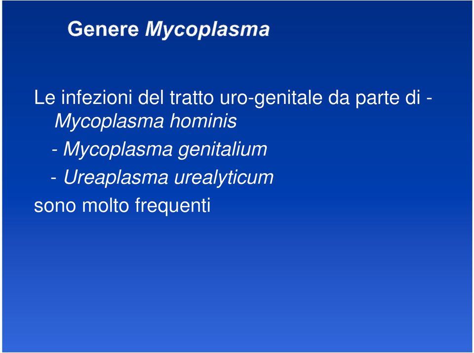Mycoplasma hominis - Mycoplasma