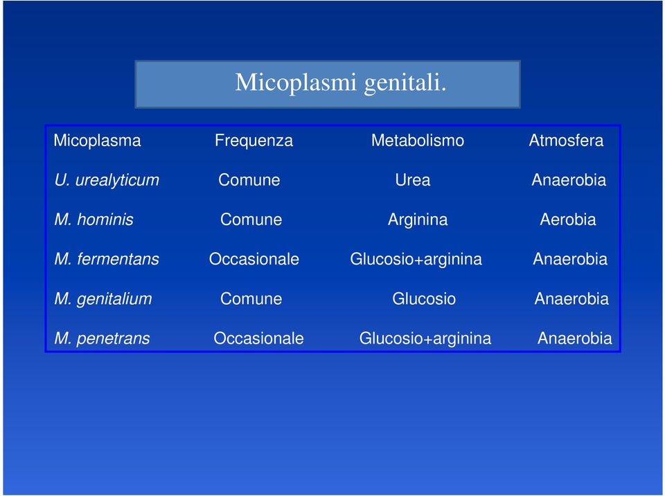 fermentans Occasionale Glucosio+arginina Anaerobia M.