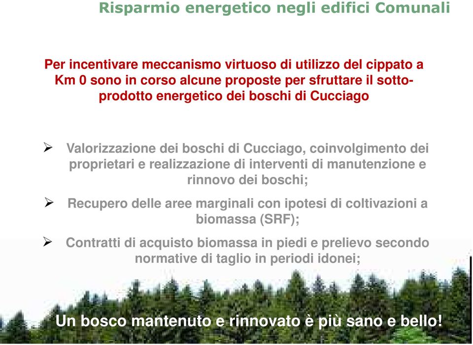 interventi di manutenzione e rinnovo dei boschi; Recupero delle aree marginali con ipotesi di coltivazioni a biomassa (SRF); Contratti di acquisto