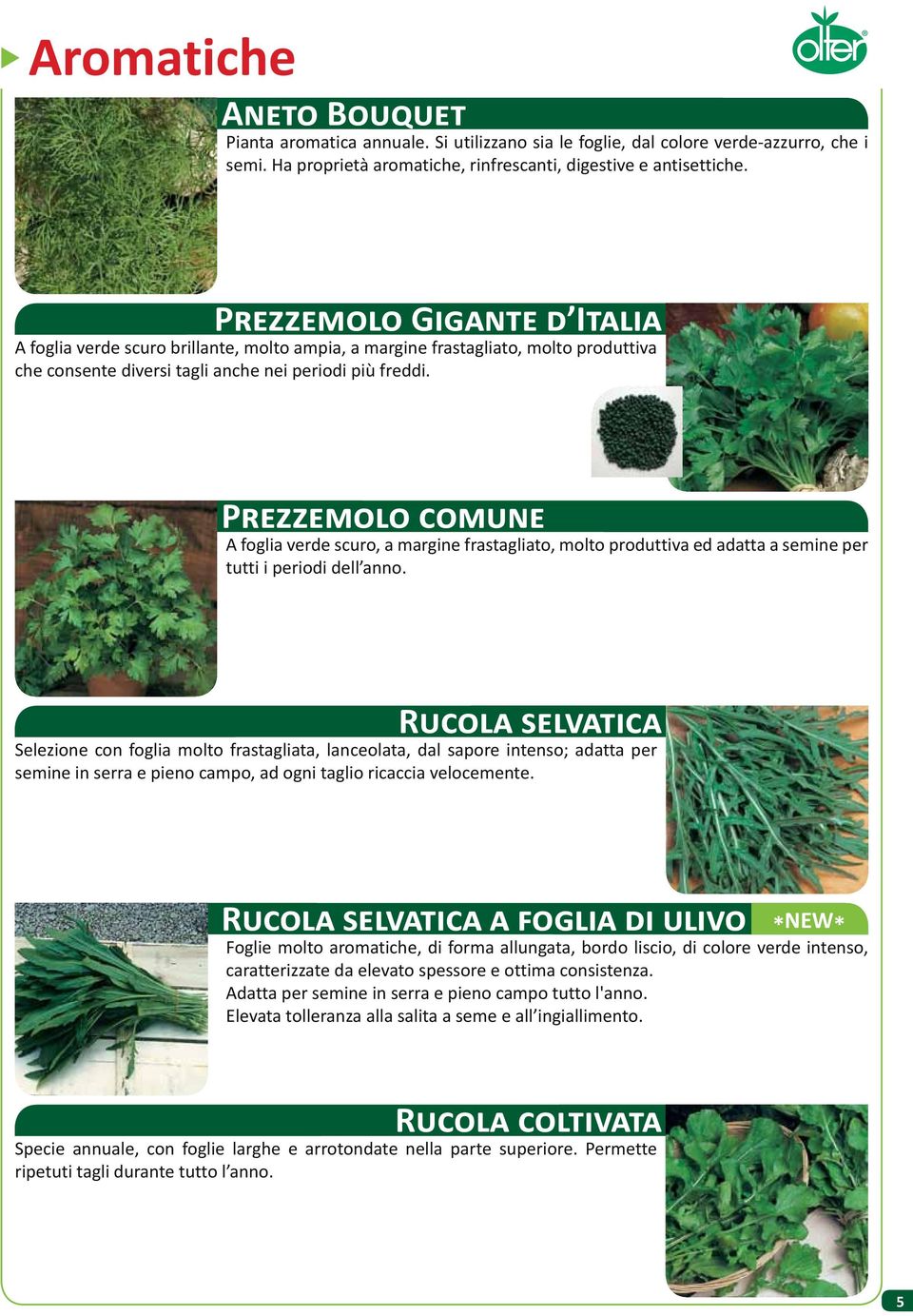 P A foglia verde scuro, a margine frastagliato, molto produttiva ed adatta a semine per tutti i periodi dell anno.