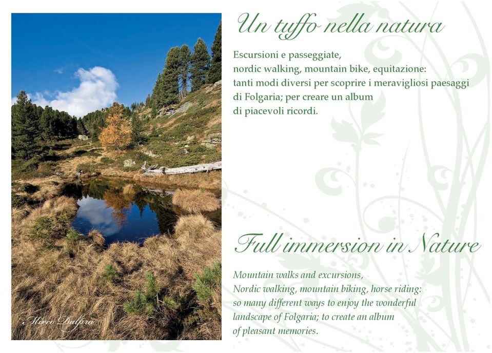 Full immersion in Nature Mountain walks and excursions, Nordic walking, mountain biking, horse riding: